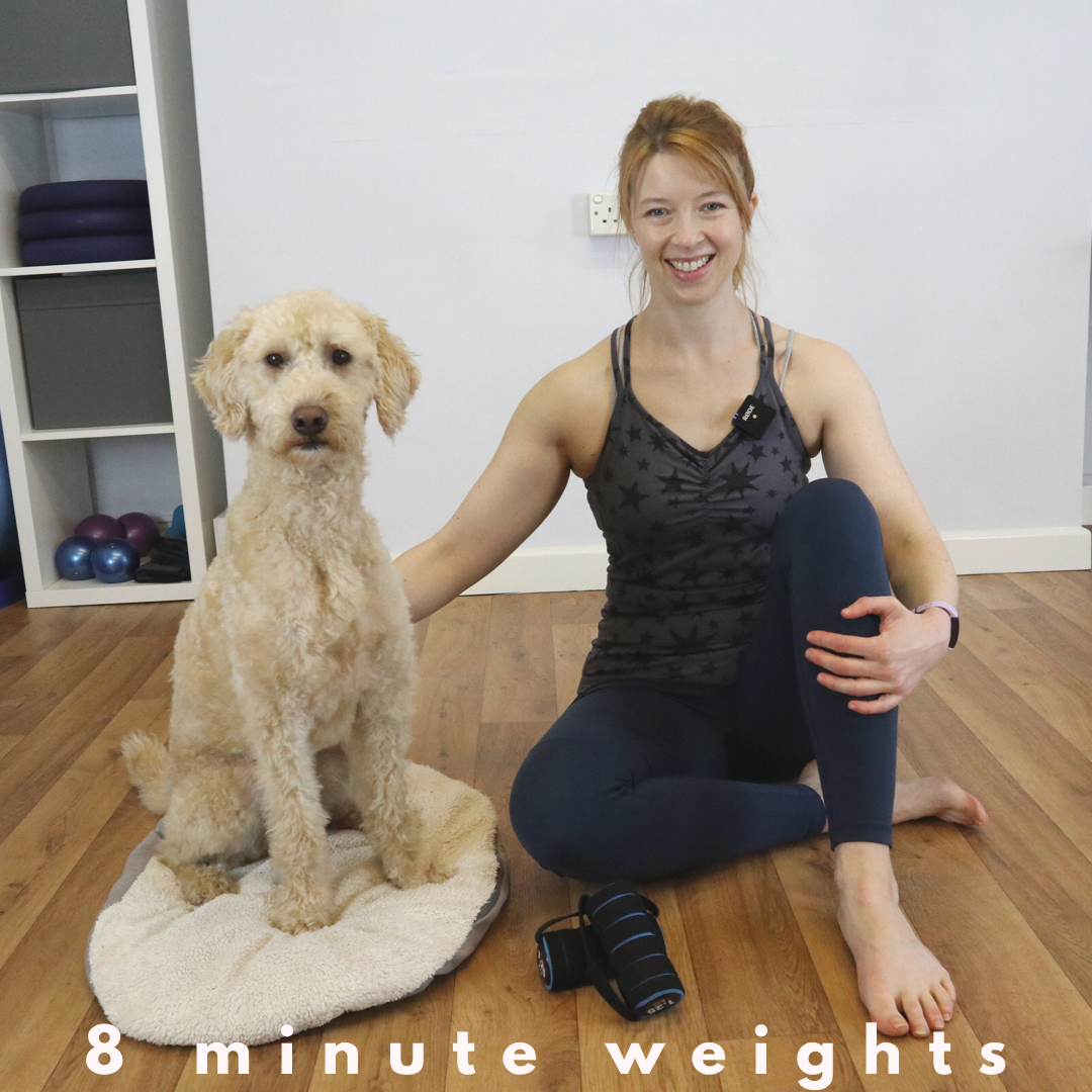 Standing Body Blast with weights No.1- 8 mins plus