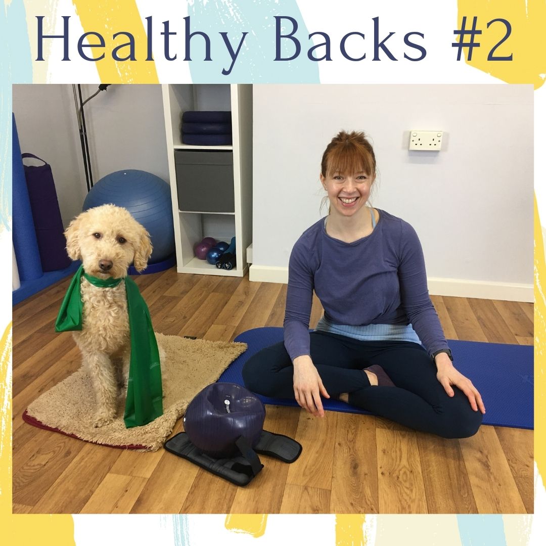 Healthy backs No.2 with ball & band – 38 mins