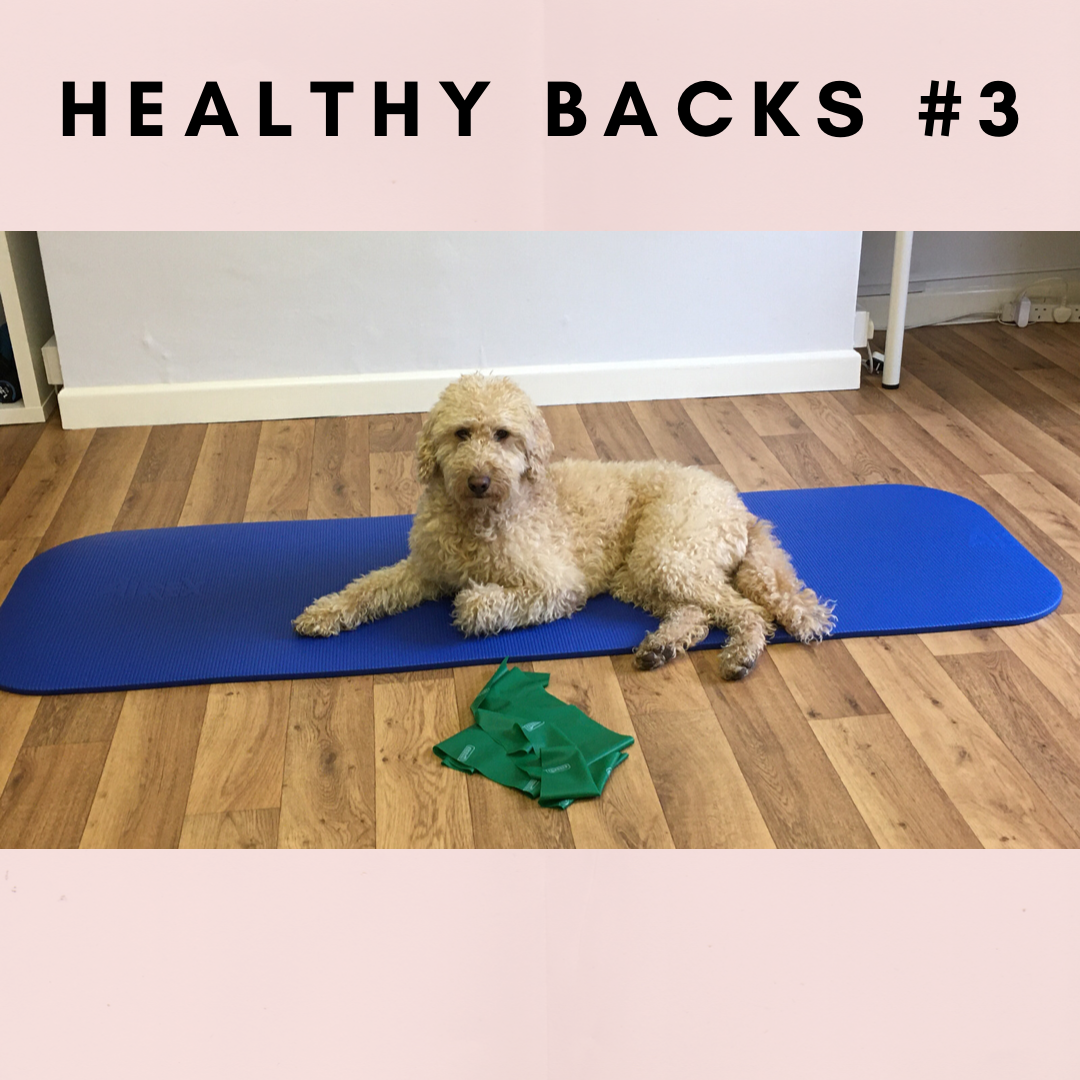 Healthy Backs No.3 with band – 22 mins