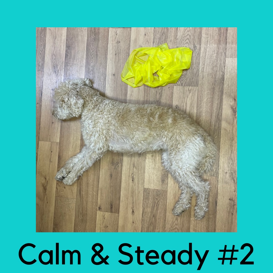 Calm & Steady No.2 – standing strength with band – 17 mins